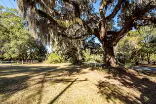 6976 Maybank Hwy, Wadmalaw Island, SC 29487 - Photo 94