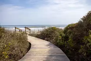 4401 Sea Forest Dr, Kiawah Island, SC 29455 - Photo 20