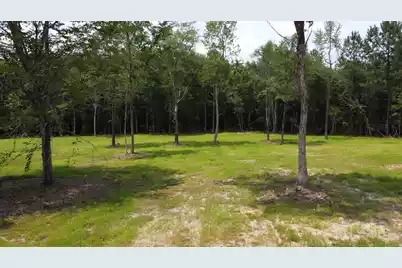 9 Steed Creek Road, Huger, SC 29450 - Photo 10