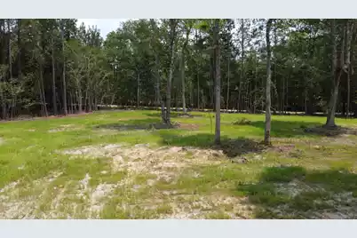 9 Steed Creek Road, Huger, SC 29450 - Photo 4