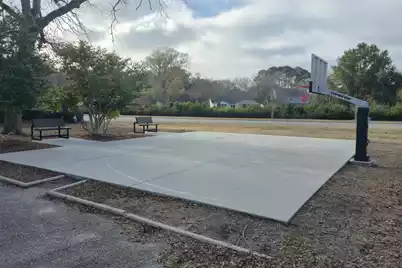 1313 Salt Marsh Cove, Charleston, SC 29412 - Photo 46