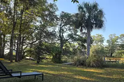 1313 Salt Marsh Cove, Charleston, SC 29412 - Photo 10
