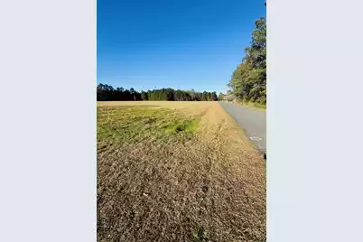 00 Bishopville Road, Saint George, SC 29477 - Photo 6