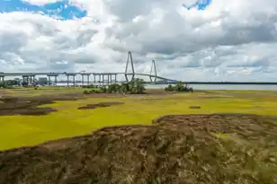 155 Wingo Way, Mount Pleasant, SC 29464 - Photo 24