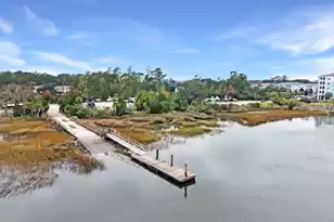 318 Morning Marsh Ln, Charleston, SC 29492 - Photo 46