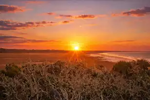 19 Lost Village Trail, Edisto Beach, SC 29438 - Photo 66