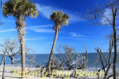 713 Sandpiper Ridge Road, Edisto Island, SC 29438 - Photo 16