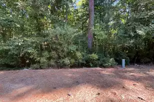 1544 Oxborough Cir, Mount Pleasant, SC 29466 - Photo 44
