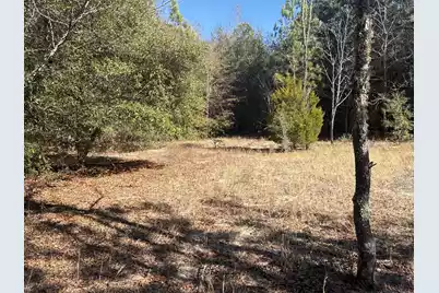 00 Tyler Road, Orangeburg, SC 29115 - Photo 12