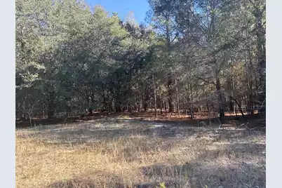 00 Tyler Road, Orangeburg, SC 29115 - Photo 10