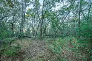 19 Middleton Oaks Rd, Charleston, SC 29414 - Photo 26