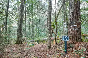 19 Middleton Oaks Rd, Charleston, SC 29414 - Photo 36