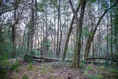 19 Middleton Oaks Road, Charleston, SC 29414 - Photo 34