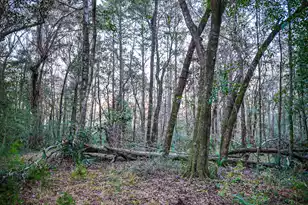 19 Middleton Oaks Rd, Charleston, SC 29414 - Photo 34