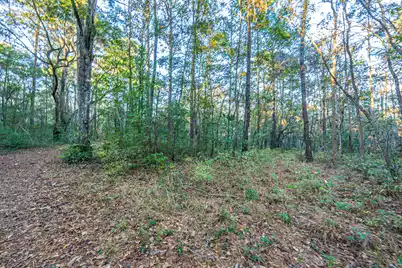 19 Middleton Oaks Road, Charleston, SC 29414 - Photo 4