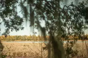 19 Middleton Oaks Rd, Charleston, SC 29414 - Photo 44