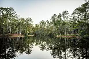 19 Middleton Oaks Rd, Charleston, SC 29414 - Photo 24