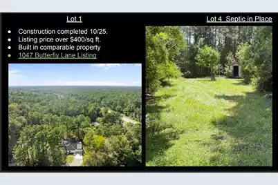 1051 Butterfly Lane, Awendaw, SC 29429 - Photo 2