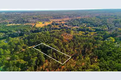 7787 Chaplin Garden Lane, Edisto Island, SC 29438 - Photo 8