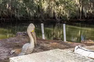 1770 Omni Blvd, Mount Pleasant, SC 29466 - Photo 52