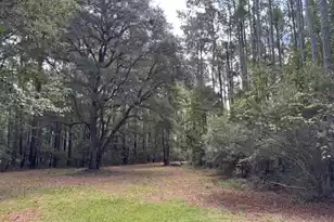 9715 2 Pines Rd, McClellanville, SC 29458 - Photo 48