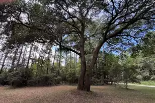 9715 2 Pines Rd, McClellanville, SC 29458 - Photo 56