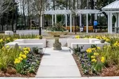 208 Threaded Fern Street, Summerville, SC 29485 - Photo 14