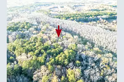 0 Allen Lane, Walterboro, SC 29488 - Photo 10