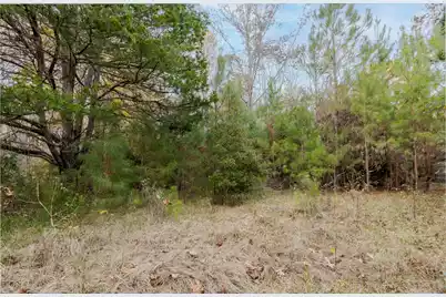 0 Allen Lane, Walterboro, SC 29488 - Photo 2