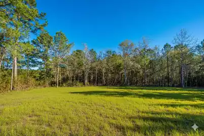2896 Harristown Road, Saint Stephen, SC 29479 - Photo 50
