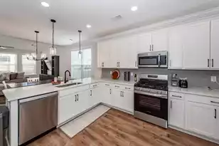 335 Hillman Trail Dr Dr, Moncks Corner, SC 29461 - Photo 8