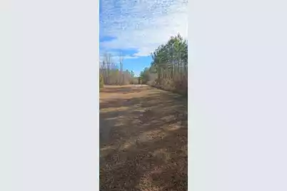 00 Primus Drive, Saint George, SC 29477 - Photo 1