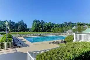 113 Amaranth Ave, Summerville, SC 29483 - Photo 48