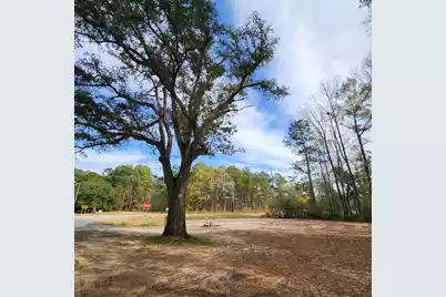0 Campbell Thickett Road, Ridgeville, SC 29472 - Photo 8