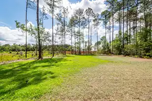 415 Myers Mayo Rd, Ridgeville, SC 29472 - Photo 22