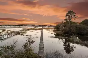 145 Memes Way, Charleston, SC 29492 - Photo 90