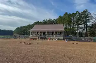 4792 Lodge Rd, Ehrhardt, SC 29081 - Photo 2