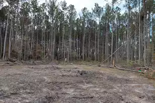 00 St Rd S-15-50 Bent Gate Ln, Walterboro, SC 29488 - Photo 1