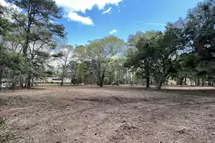 0 Roberta Dr, Eutawville, SC 29048 - Photo 1