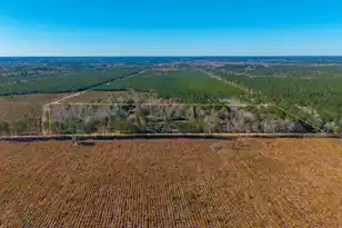 565 Tolle Farm Rd, Cottageville, SC 29435 - Photo 28
