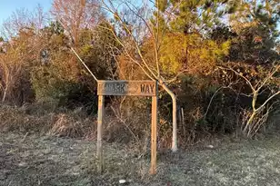 13671 Old Number Six Hwy Hwy, Eutawville, SC 29048 - Photo 12