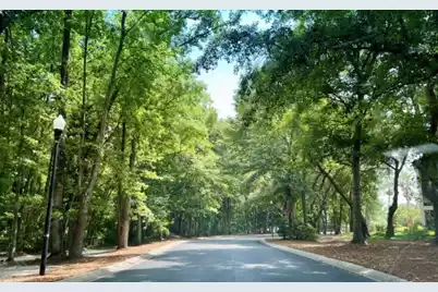 1025 Riverland Woods Place #423, Charleston, SC 29412 - Photo 22