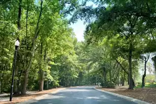 1025 Riverland Woods Pl, Charleston, SC 29412 - Photo 22