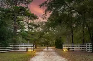 6615 Old Jacksonboro Rd, Ravenel, SC 29470 - Photo 40