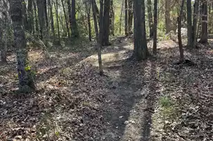 1109 Rearick Road, Johns Island, SC 29455 - Photo 50