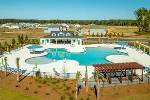 314 Bluebell Wy, Moncks Corner, SC 29461 - Photo 4