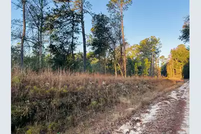 00 Live Oak Road, Ridgeville, SC 29472 - Photo 28