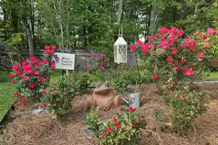 102 Bill Park Dr, Summerville, SC 29485 - Photo 20