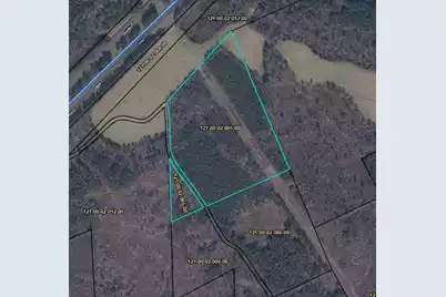 Tbd Etchison Road, Summerton, SC 29148 - Photo 1