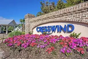 6016 Wild Azalea Rd, Summerville, SC 29483 - Photo 66